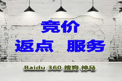 竞价排名关键词优化实战案例分析